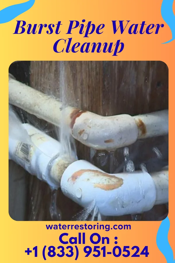 Burst Pipe Water Cleanup in Emmitsburg, MD