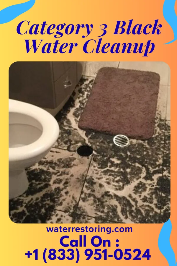 Category 3 Black Water Cleanup in Emmitsburg, MD