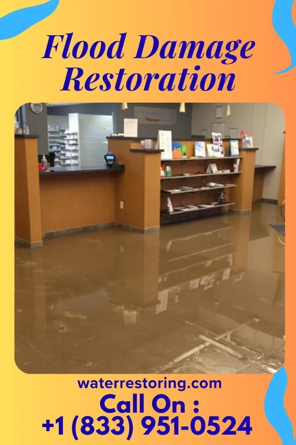 Flood Damage Restoration in Emmitsburg, MD