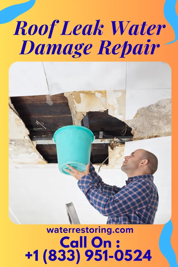 Roof Leak Water Damage Repair in Emmitsburg, MD