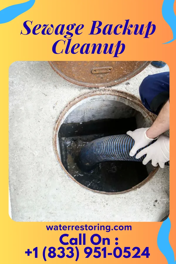 Sewage Backup Cleanup in Emmitsburg, MD