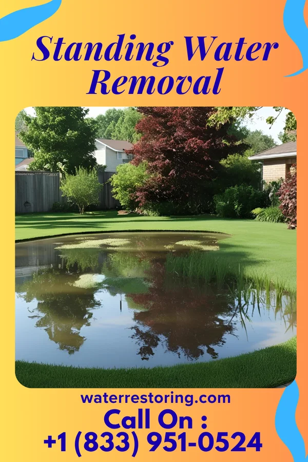 Standing Water Removal in Emmitsburg, MD
